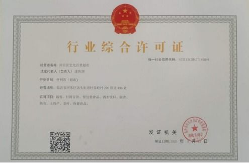 小证照内涵大乾坤 河东区行政审批局发出首张行业综合许可证