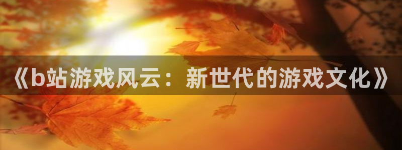极悦娱乐官方登录网址：《b站游戏风云：新世代的游戏文化》