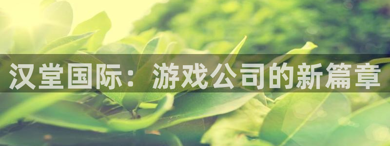 极悦娱乐代理登陆：汉堂国际：游戏公司的新篇章
