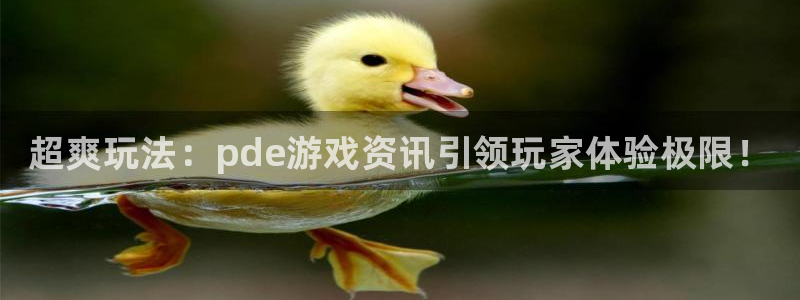 极悦娱乐2首页登录：超爽玩法：pde游戏资讯引领玩家体验极限
