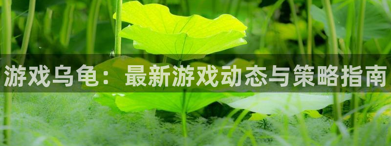极悦娱乐的意思：游戏乌龟：最新游戏动态与策略指南