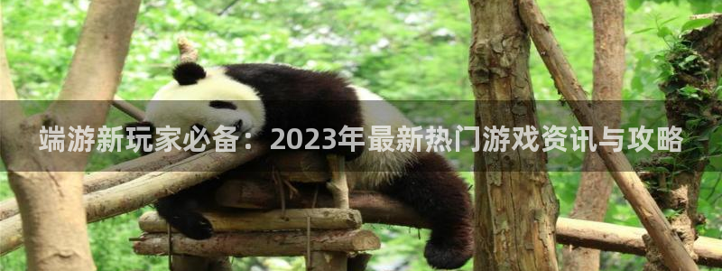 极悦娱乐登陆：端游新玩家必备：2023年最新热门游戏资讯与攻