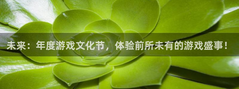 极悦娱乐注册测速：未来：年度游戏文化节，体验前所未有的游戏盛