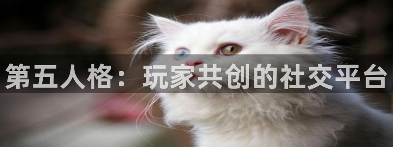 极悦娱乐注册账号：第五人格：玩家共创的社交平台