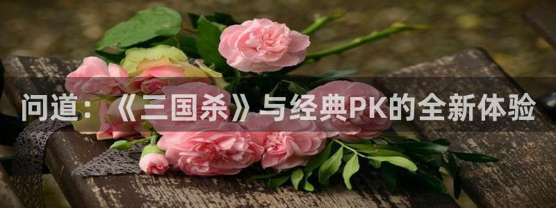 极悦娱乐登陆