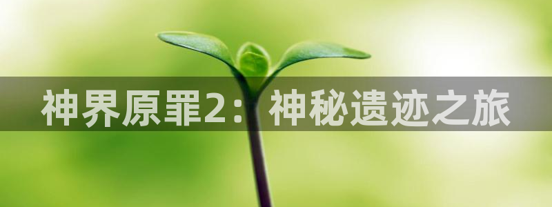 极悦娱乐app下载|下载地址：神界原罪2：神秘遗迹之旅