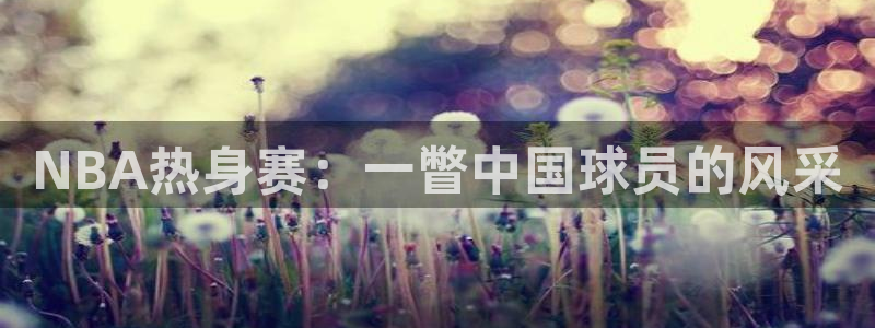 178直播体育nba：NBA热身赛：一瞥中国球员的风采