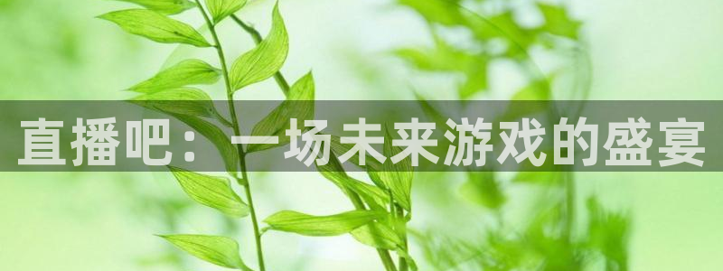 178篮球直播在线直播观看免费：直播吧：一场未来游戏的盛宴