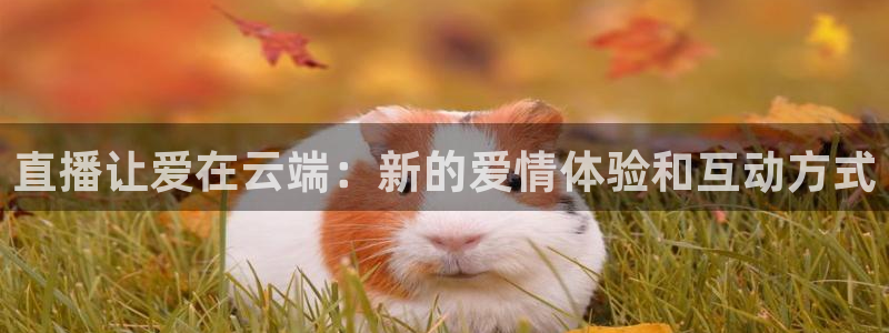 178直播篮球赛事直播：直播让爱在云端：新的爱情体验和互动方式