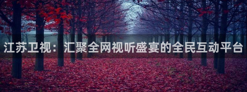 178体育赛事免费直播下载：江苏卫视：汇聚全网视听盛宴的全民互动平台