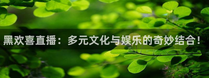 178体育直播下载官网：黑欢喜直播：多元文化与娱乐的奇妙结合！