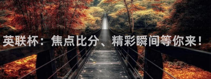 178篮球直播在线直播观看免费：英联杯：焦点比分、精彩瞬间等你来！