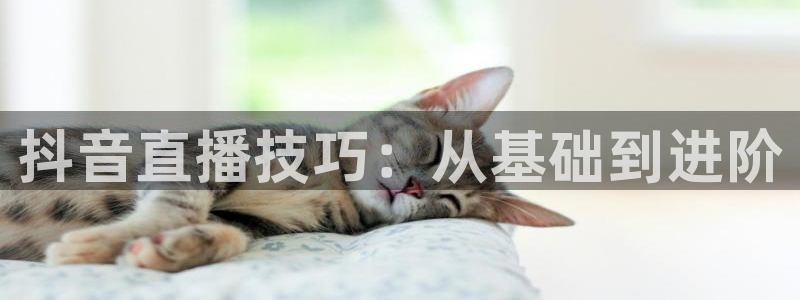 178篮球直播体育赛事：抖音直播技巧：从基础到进阶
