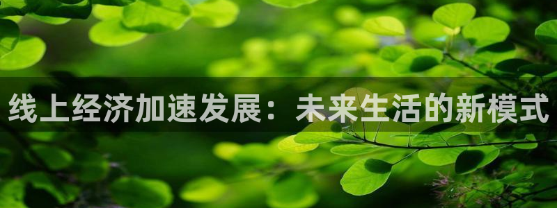 178足球赛事直播：线上经济加速发展：未来生活的新模式