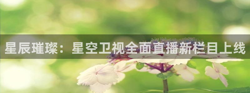 178篮球直播体育直播：星辰璀璨：星空卫视全面直播新栏目上线