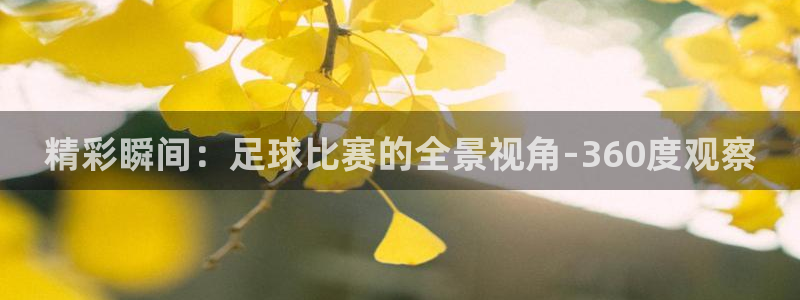 nba178直播在线直播：精彩瞬间：足球比赛的全景视角-360度观察