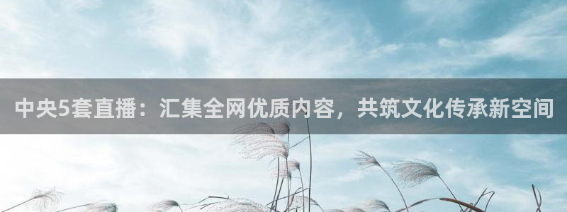 178篮球体育直播：中央5套直播：汇集全网优质内容，共筑文化传承新空间